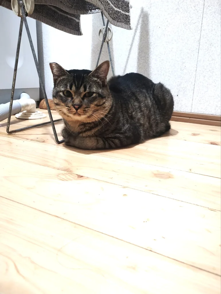 blog02