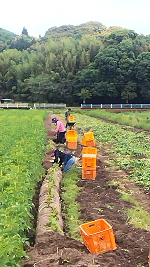blog04