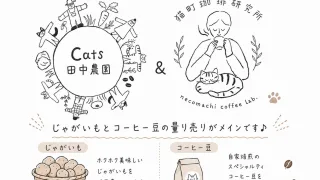 雨の日曜日、誰も来なかった直売所と、暇がくれた才能の話。