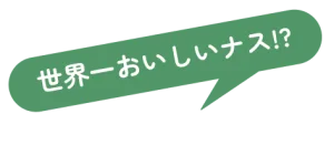 catchveg