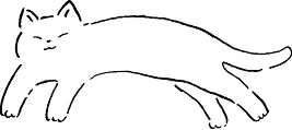 ill21